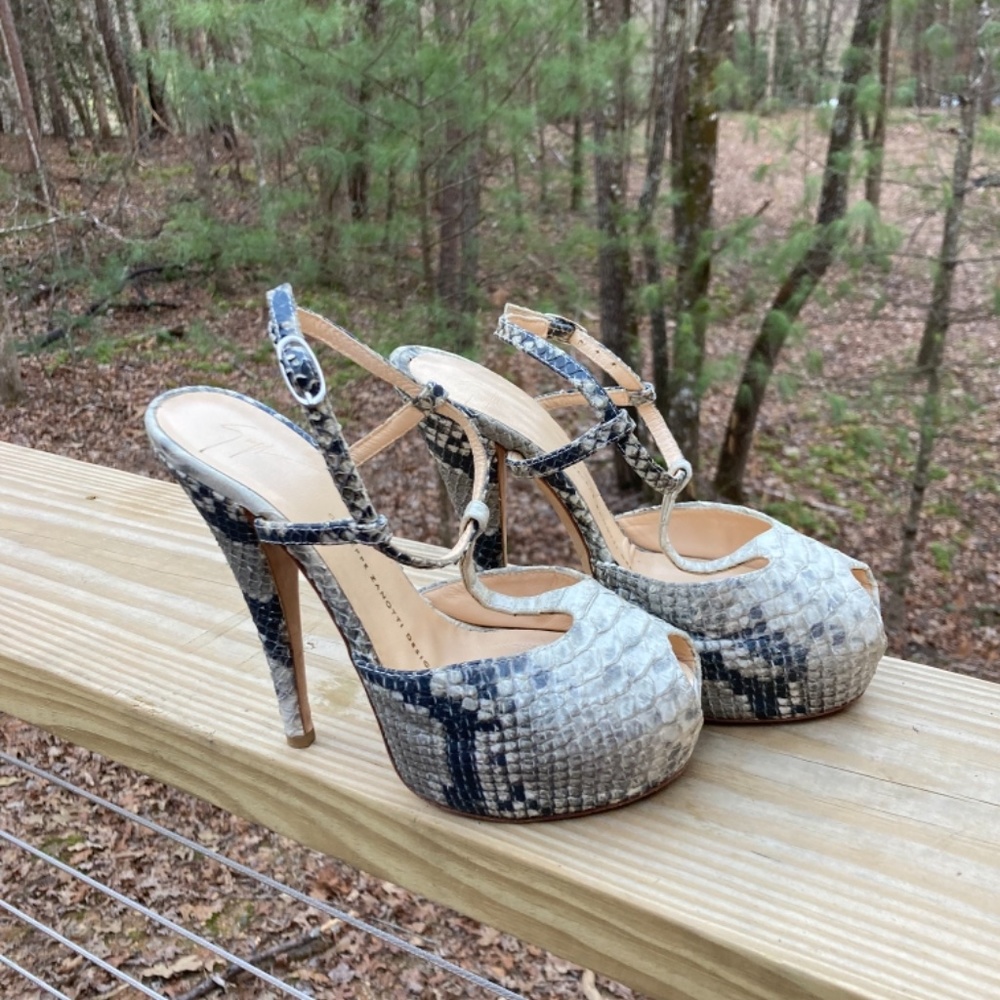 Giuseppe Zanotti